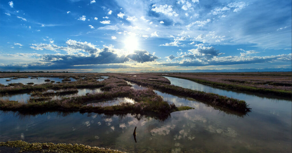 Le Barene di Venezia - l'angolo di paradiso primordiale