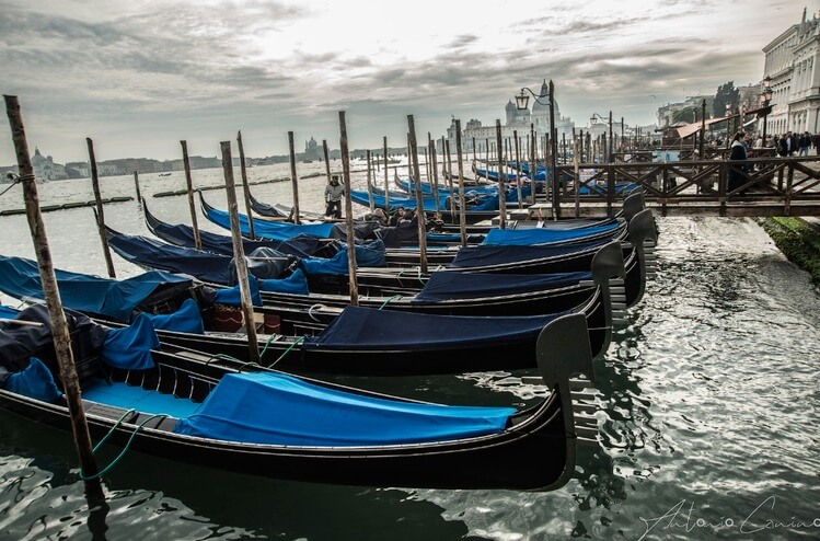 Venezia a novembre, cosa fare Venezia a novembre, cosa fare